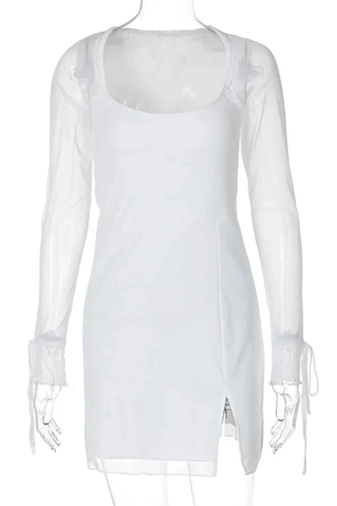 Sheer Bodycon Slim Mini Dress