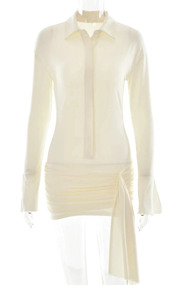 Elegant Long Sleeve Mini Dress