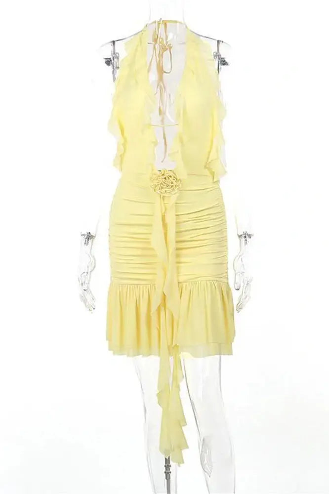 Floral Lace-Up Mini Dress With Ruffled Detail