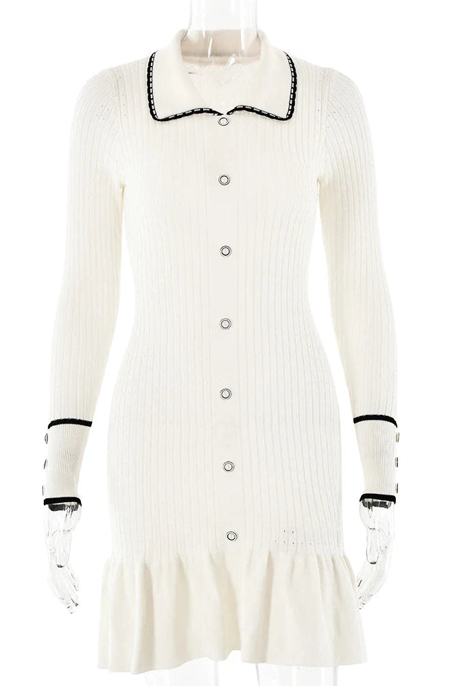 Elegant Long Sleeve Mini Dress