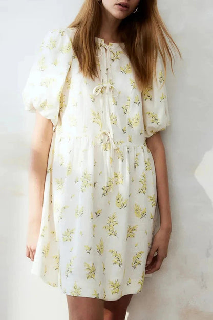 Puff Sleeve Tie Up Hollow Neck A-Line Mini Dress