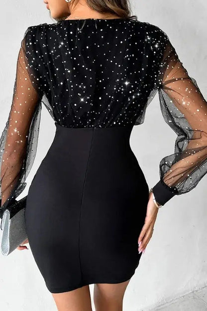 Glitter Sheer Mesh Mini Dress
