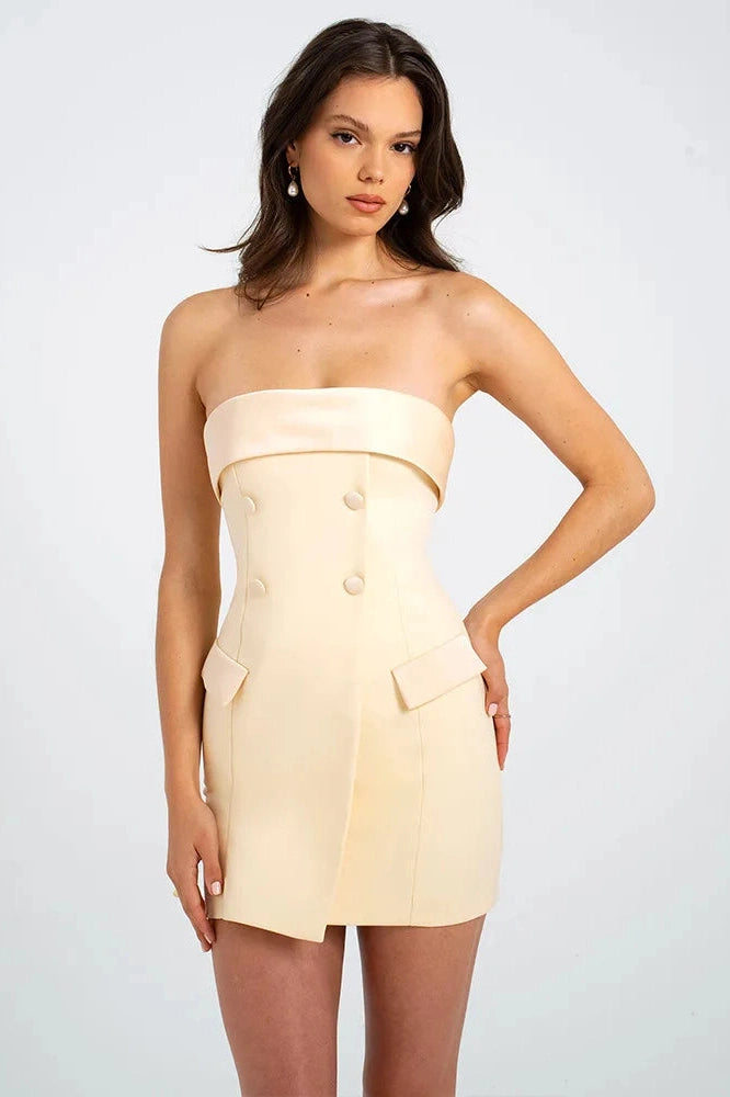 Strapless Backless Slim Bodycon Mini Dress