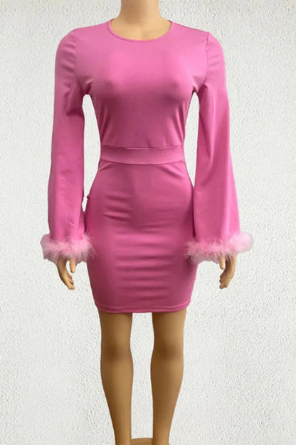 Slim Fit Long Sleeve Mini Dress