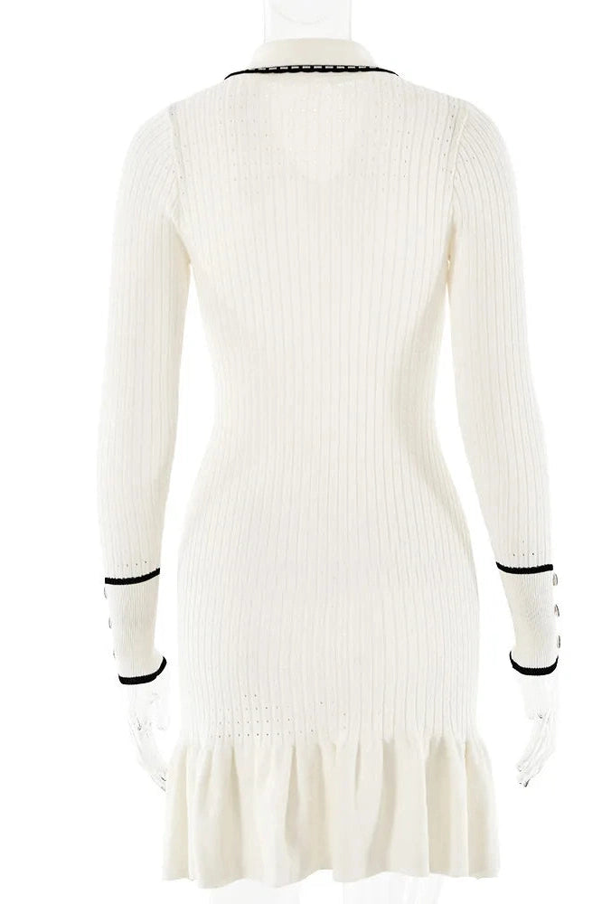 Elegant Long Sleeve Bodycon Mini Dress