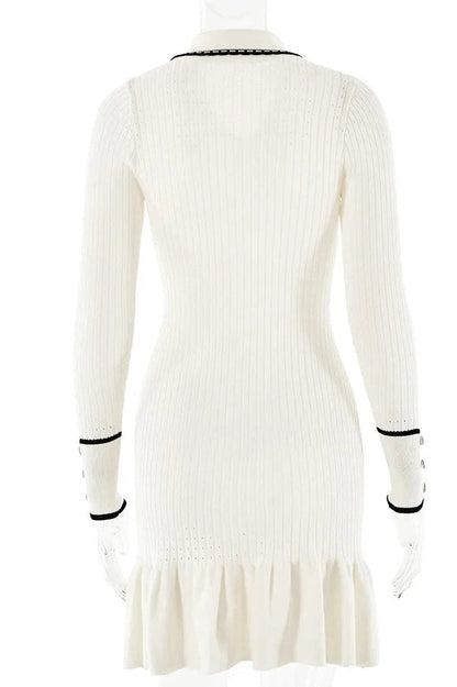 Elegant Long Sleeve Bodycon Mini Dress