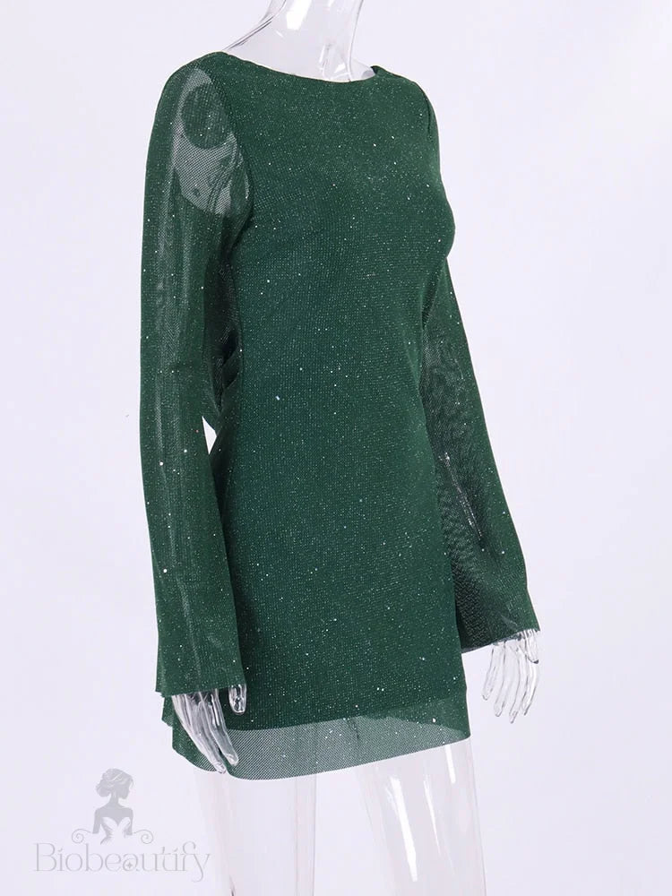 Aella Sequin Dress With Long Sleeves