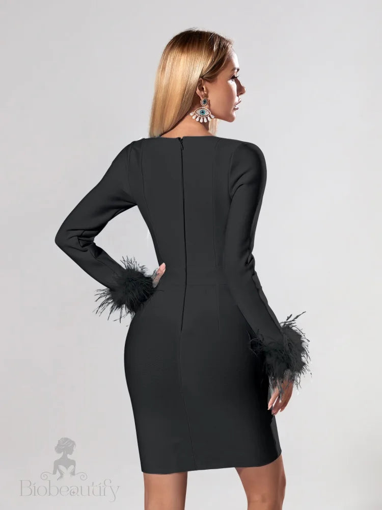 Bold Sophisticated Feathered Long Sleeve Dress