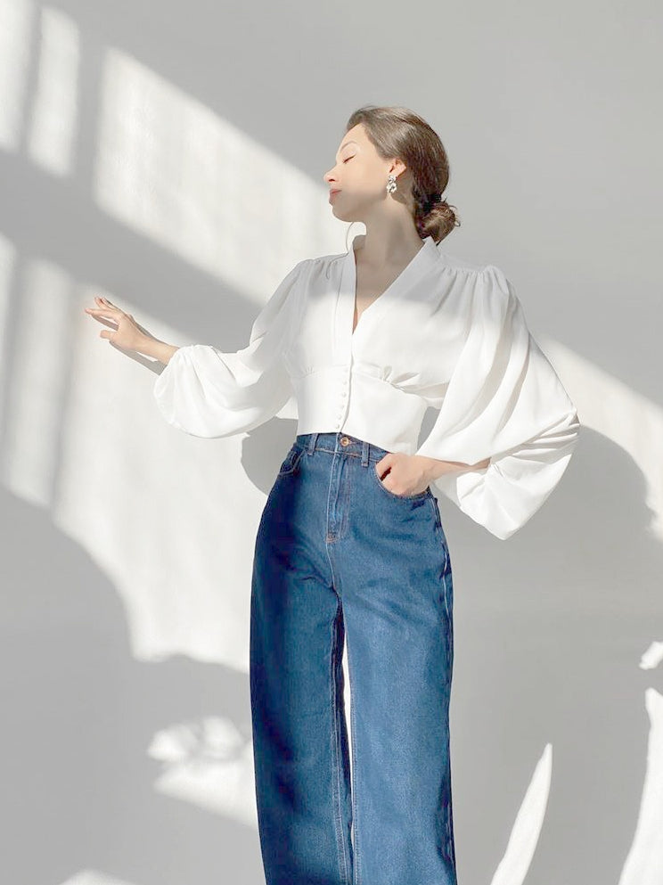 Vintage Lantern Sleeve V-Neck Slim Fit Blouse