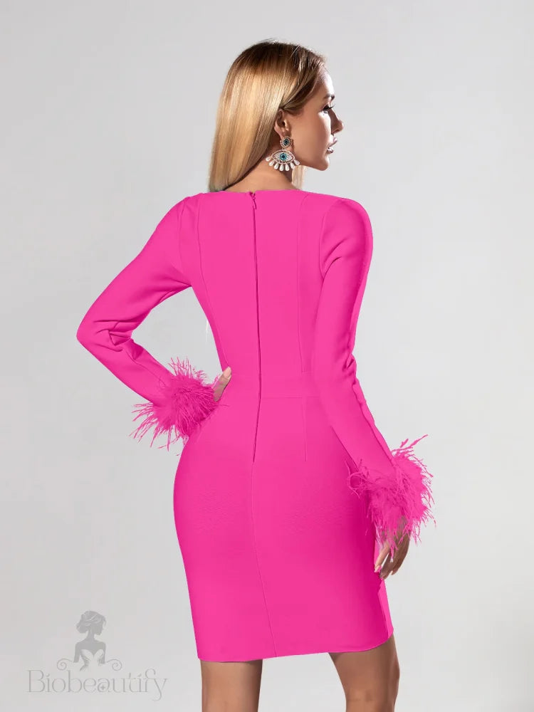 Candace Long Sleeve Feather Dress