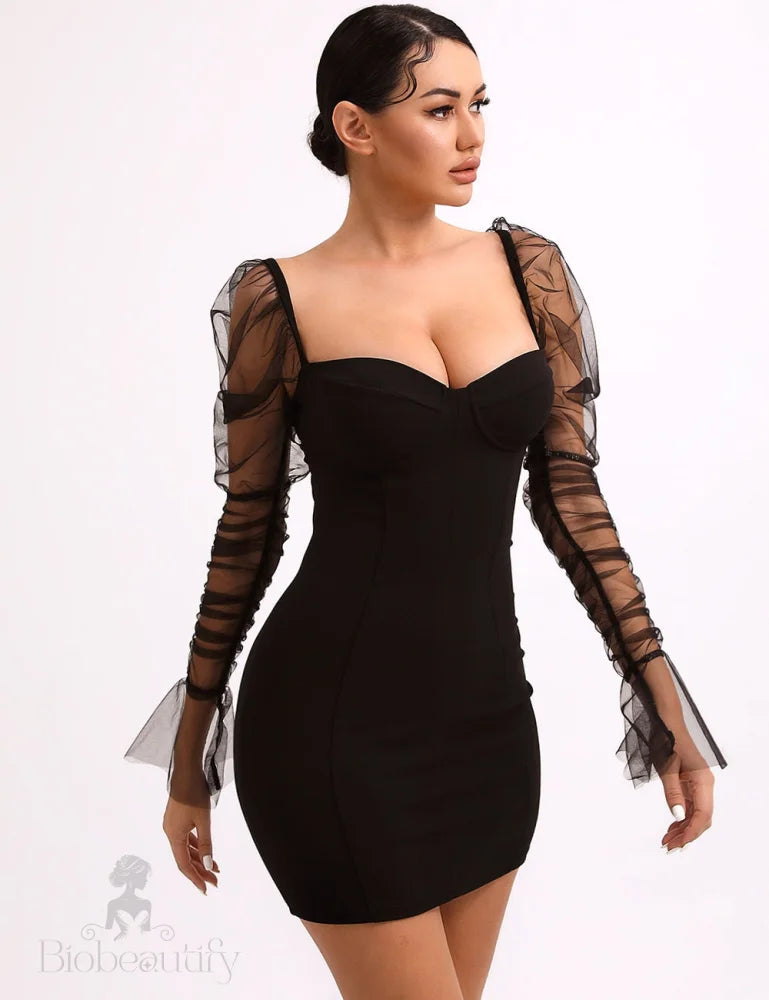 Chic Arletta Mesh Dress With Voluminous Puff Sleeves