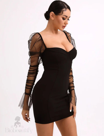 Chic Arletta Mesh Dress With Voluminous Puff Sleeves