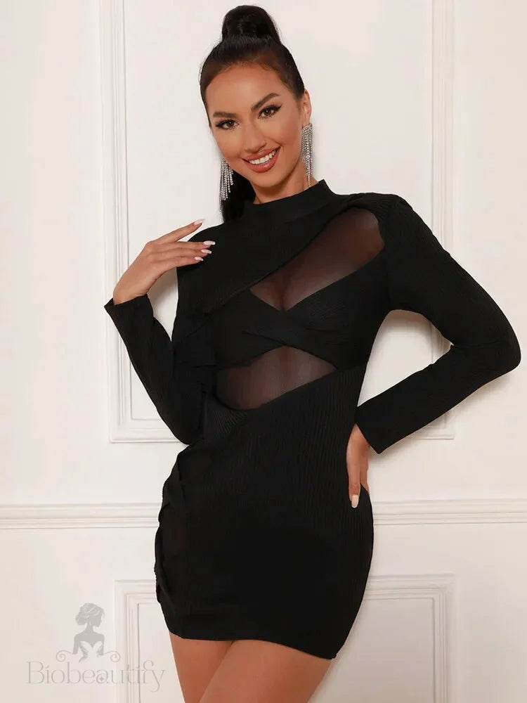 Chic Sleek Mesh Turtleneck Bandage Dress