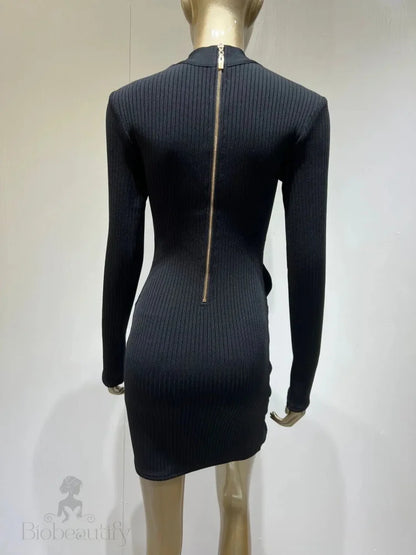 Chic Sleek Mesh Turtleneck Bandage Dress