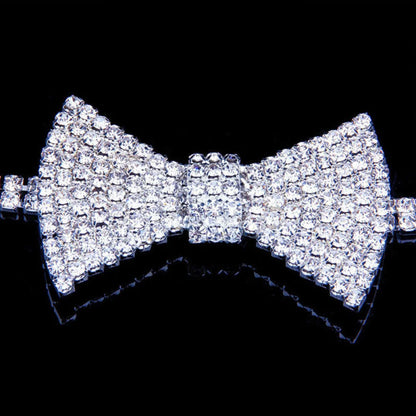 Crystal Bow Detail Choker Necklace - Silver