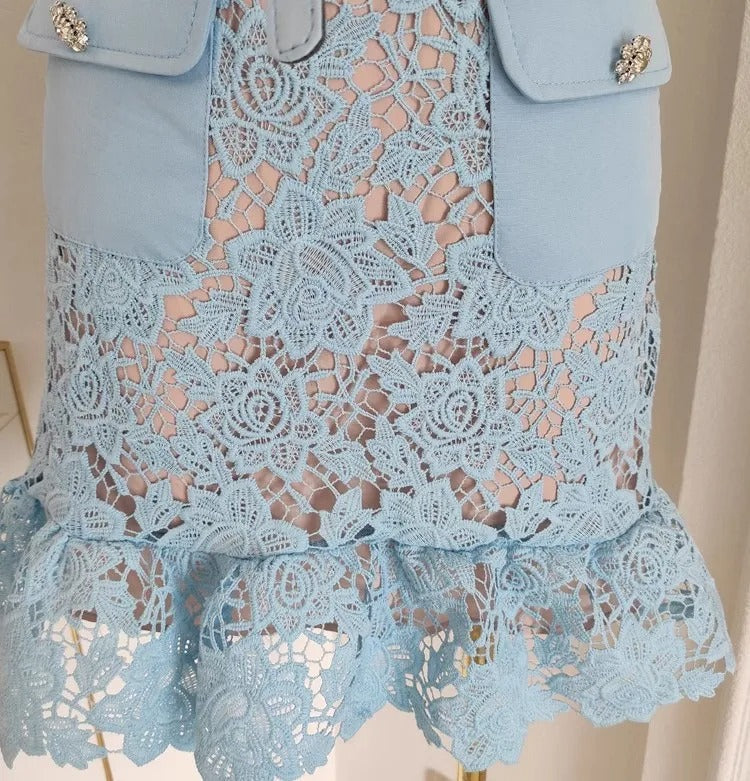 Genevia Rhinestone Lace Dress