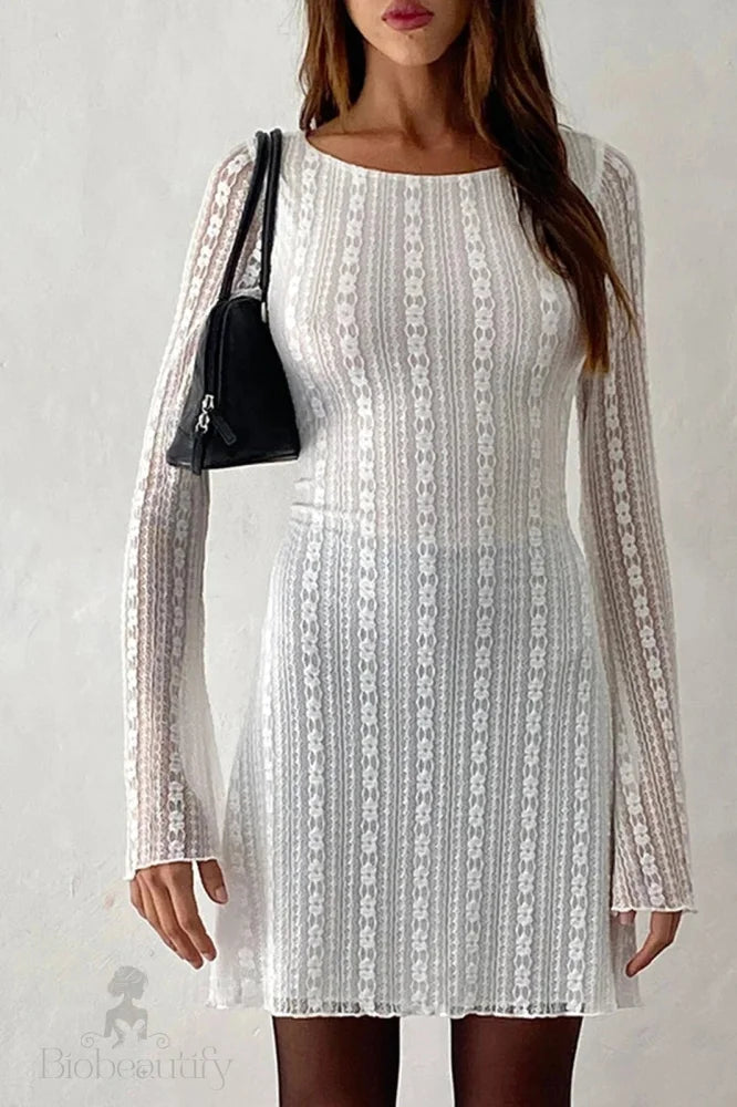 Elegant Lace Slim Long Sleeve Mini Dress