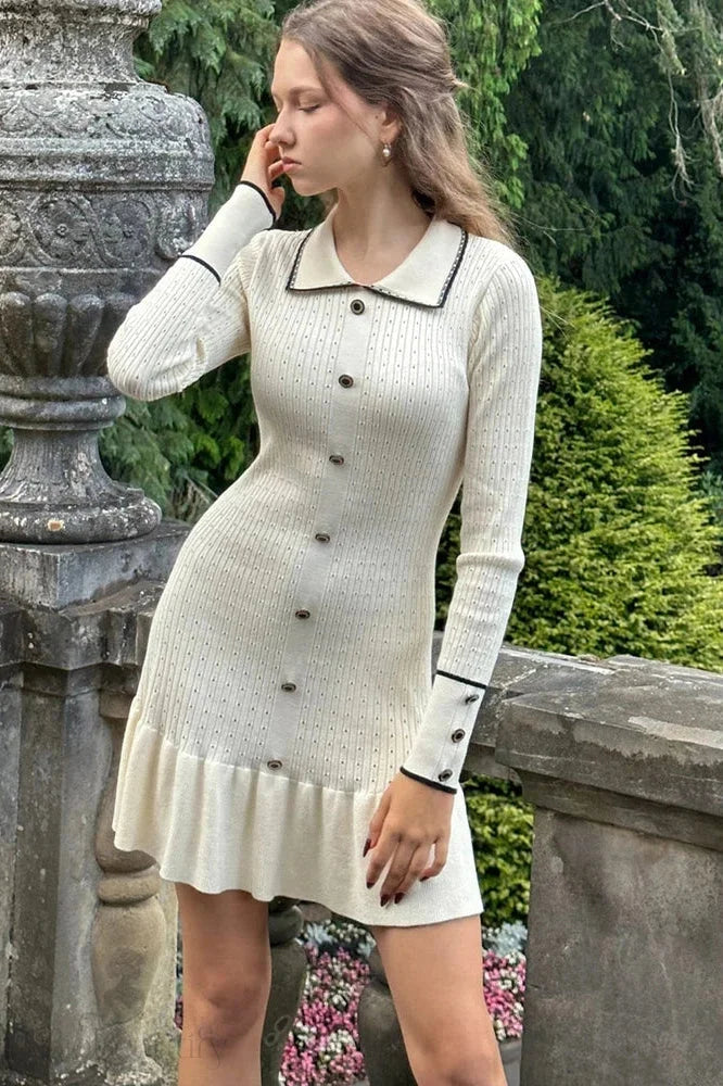 Elegant Long Sleeve Mini Dress