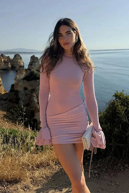 Elegant Long Sleeve Mini Dress