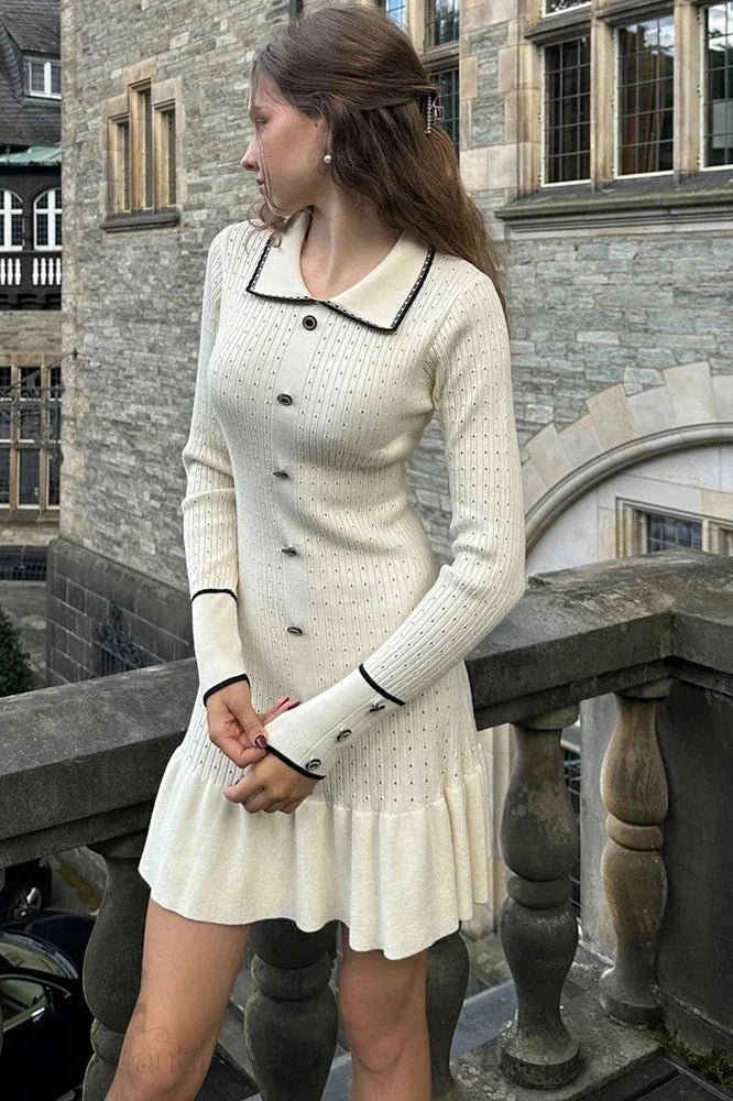 Elegant Long Sleeve Mini Dress