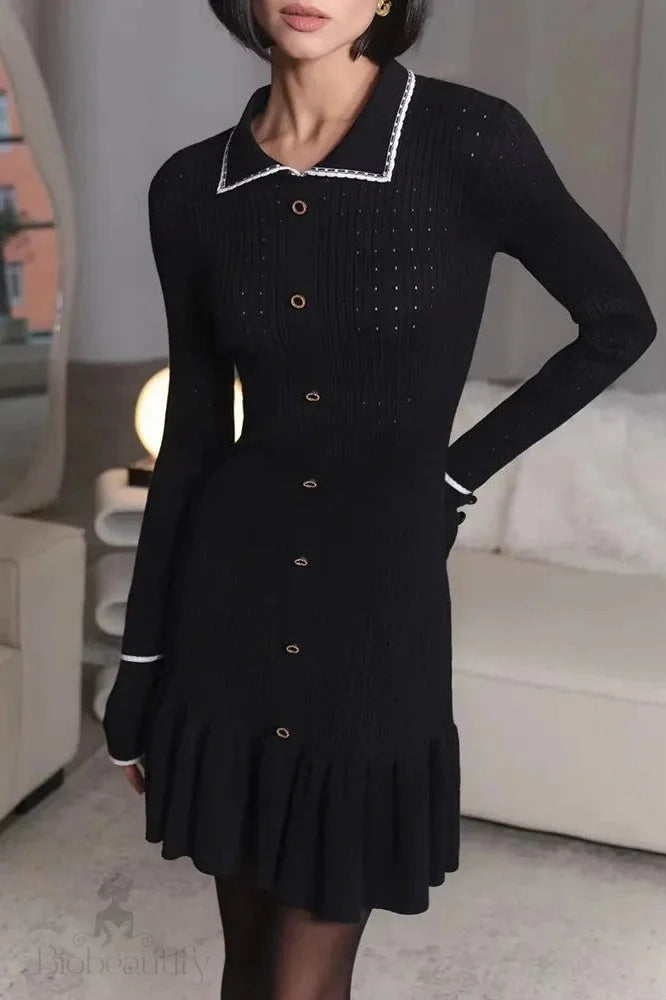 Elegant Long Sleeve Mini Dress