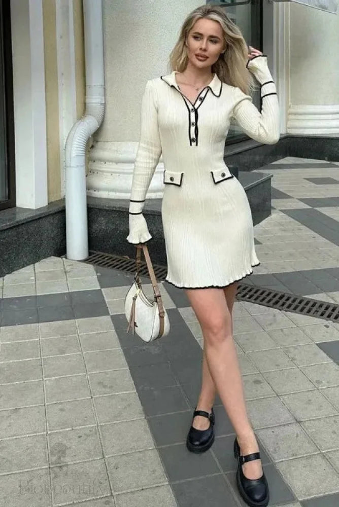 Elegant Long Sleeve Mini Dress