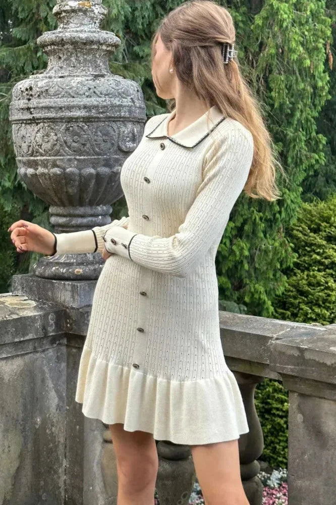 Elegant Slim Bodycon Long Sleeve Mini Dress