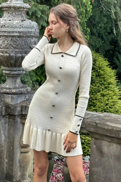 Elegant Slim Bodycon Long Sleeve Mini Dress