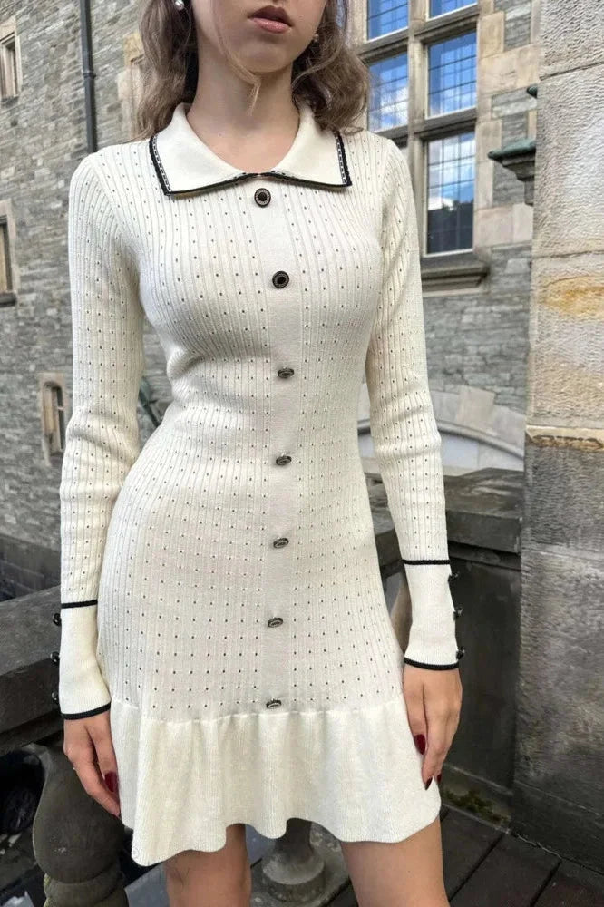 Elegant Slim Bodycon Long Sleeve Mini Dress