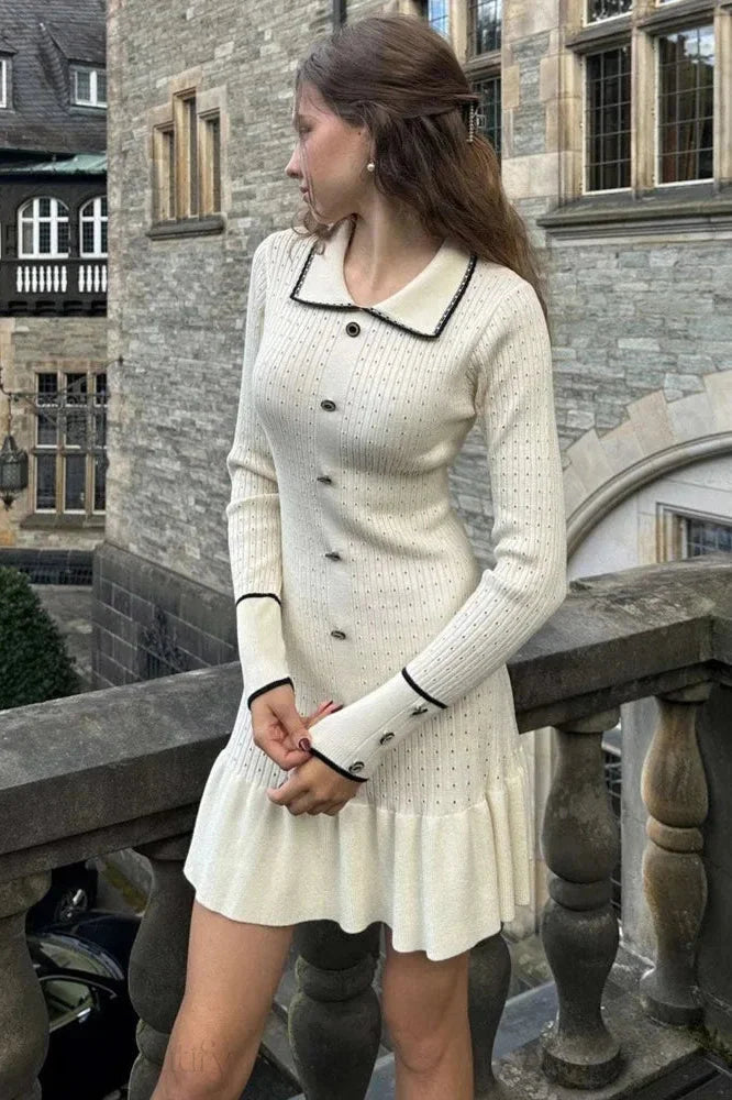 Elegant Slim Bodycon Long Sleeve Mini Dress