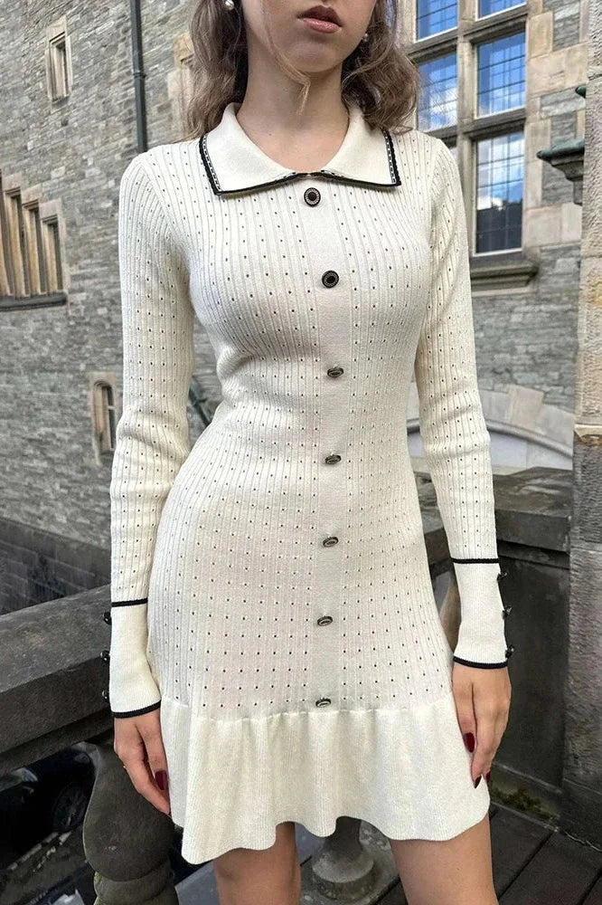 Elegant Slim Fit Mini Dress With Long Sleeves