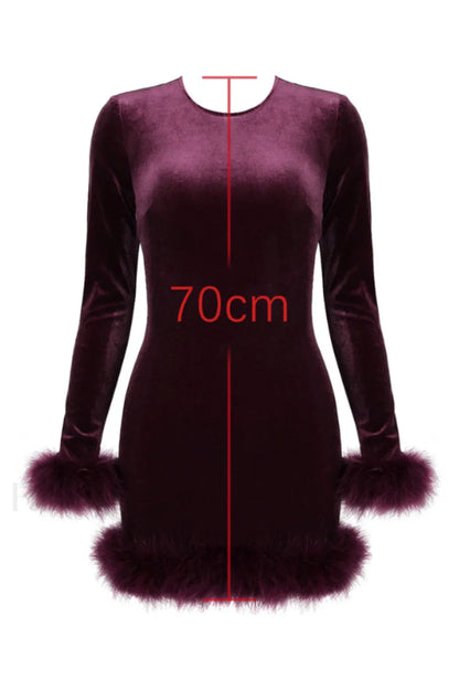 Lavinia Mulberry Stylish Velvet Mini Dress
