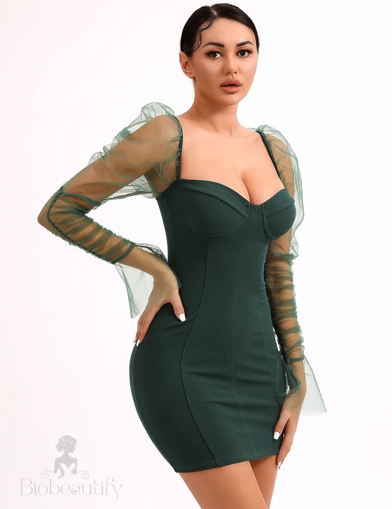 Mesh Puff Sleeve Dress