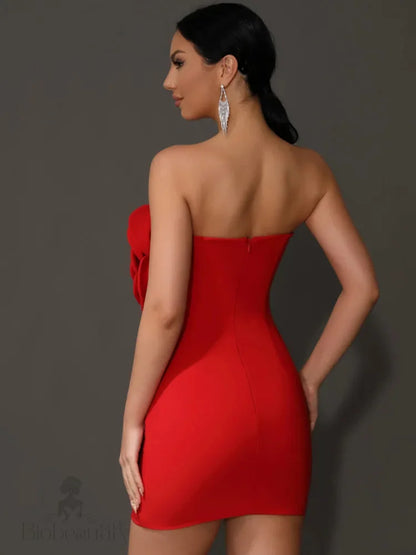 Orenda Strapless Dress With Red Flower Applique