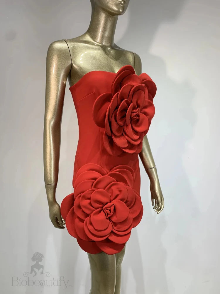 Orenda Strapless Dress With Red Flower Applique