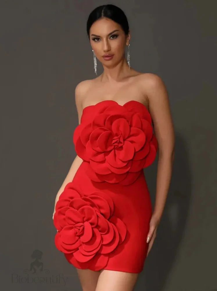 Orenda Strapless Dress With Red Flower Applique