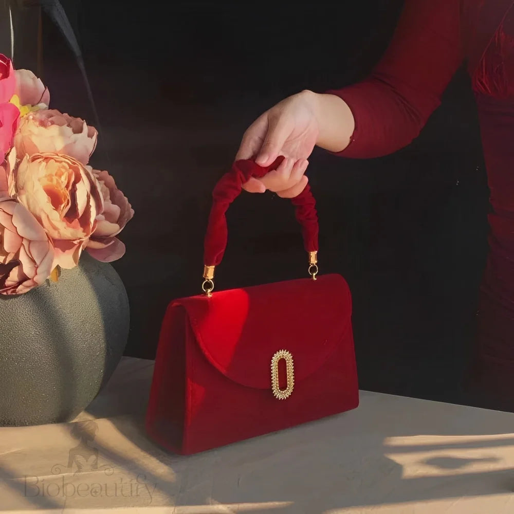 Red Velvet Handbag By Priscilla