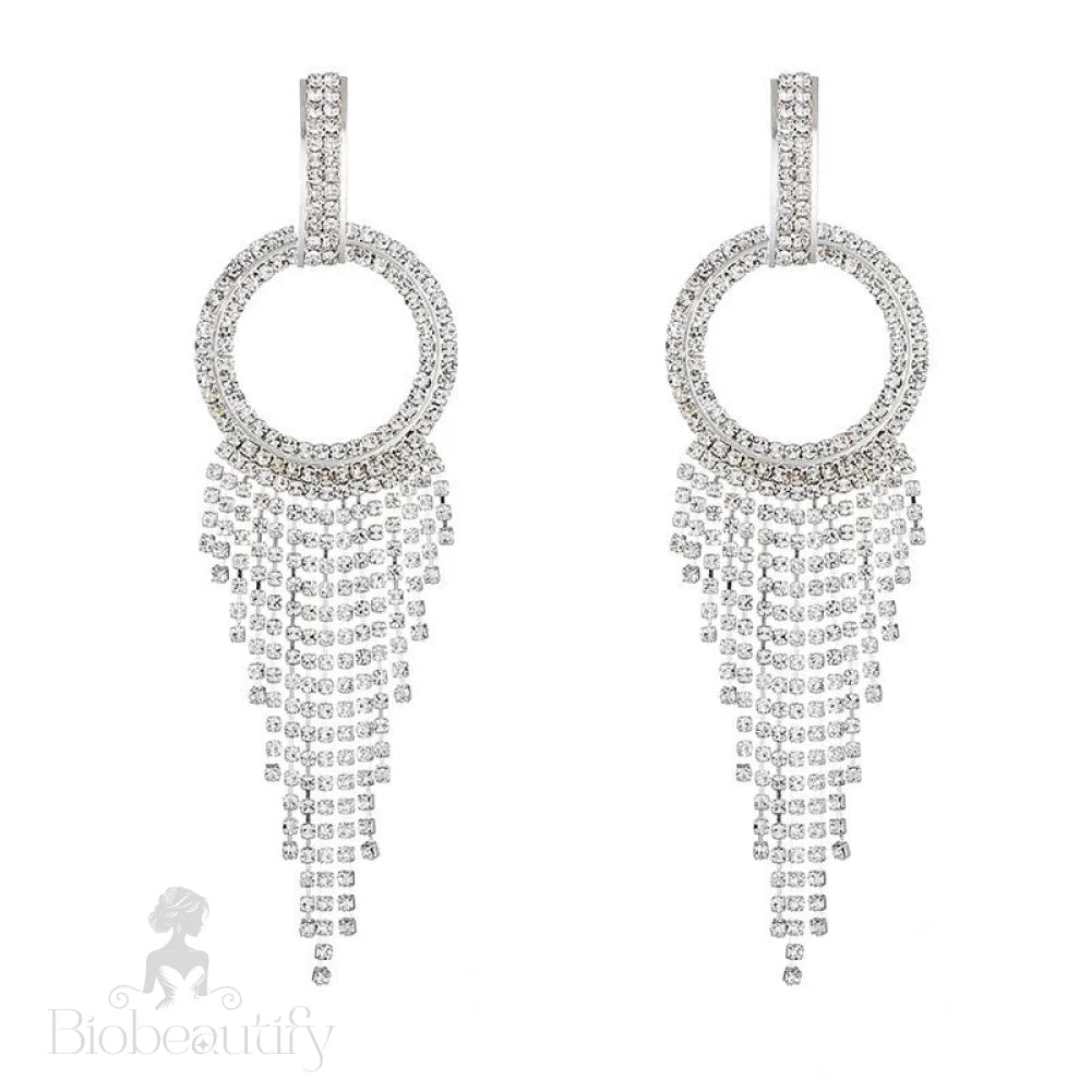 Sparkly Crystal Hoop Fringe Dangle Earrings - Silver One Size /