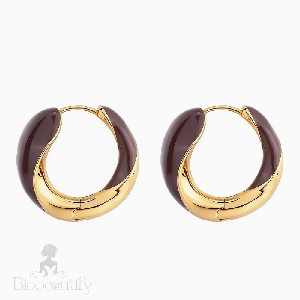 Two Tone Hinged Hoop Earrings In Luxury Metallic Enamel Brown / One Size