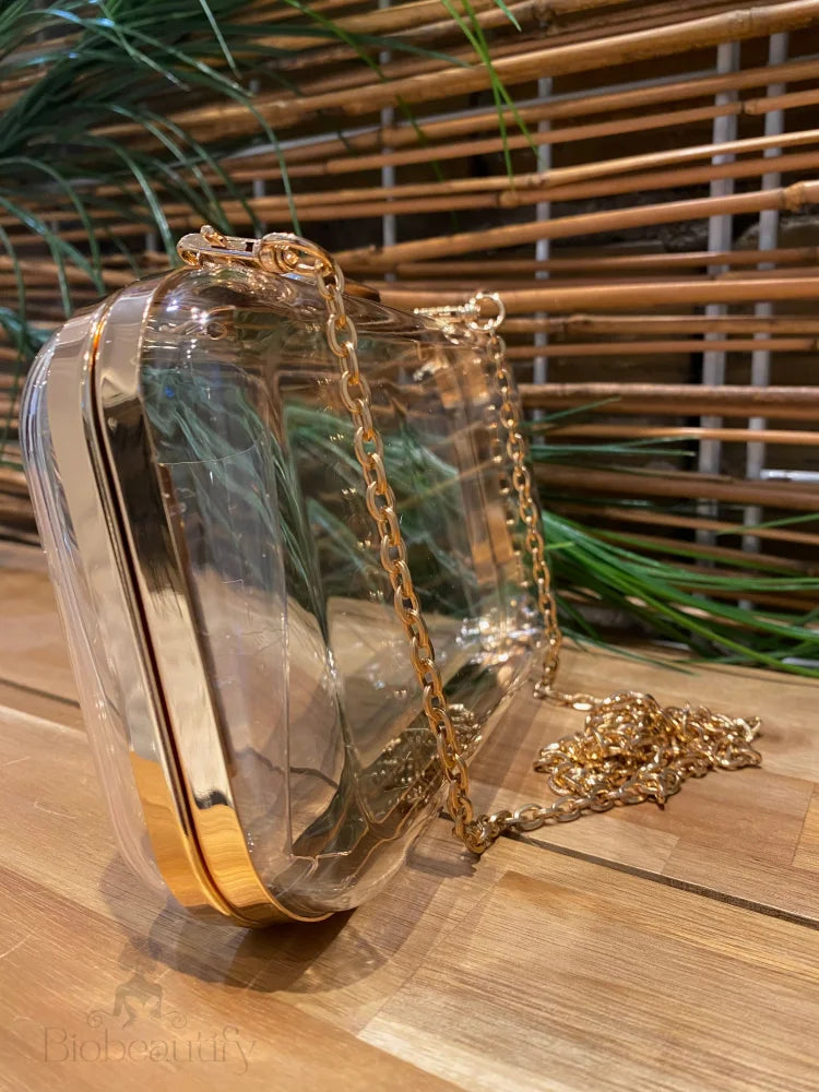 Vivica Transparent Evening Clutch